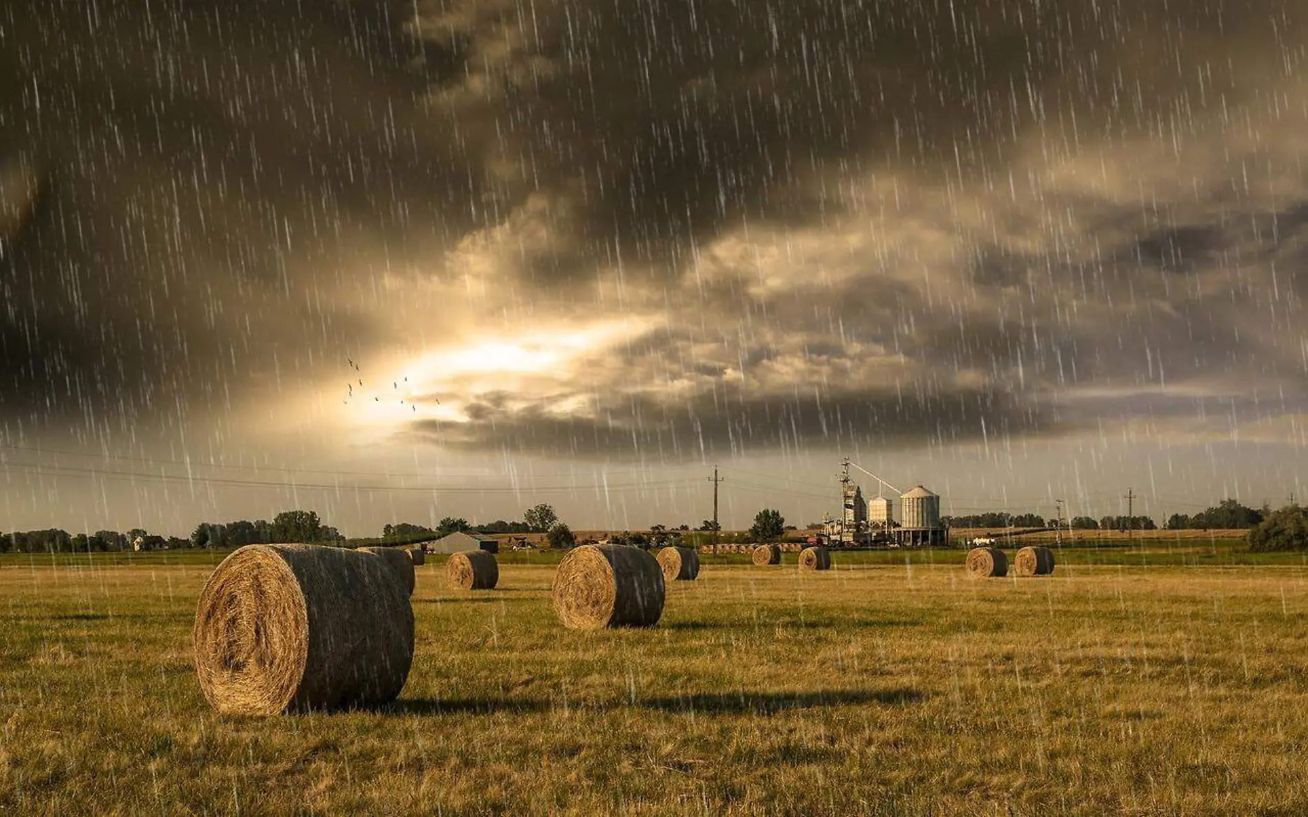 Con este proyecto se busca que llueva principalmente en el campo de Tamaulipas Pixabay